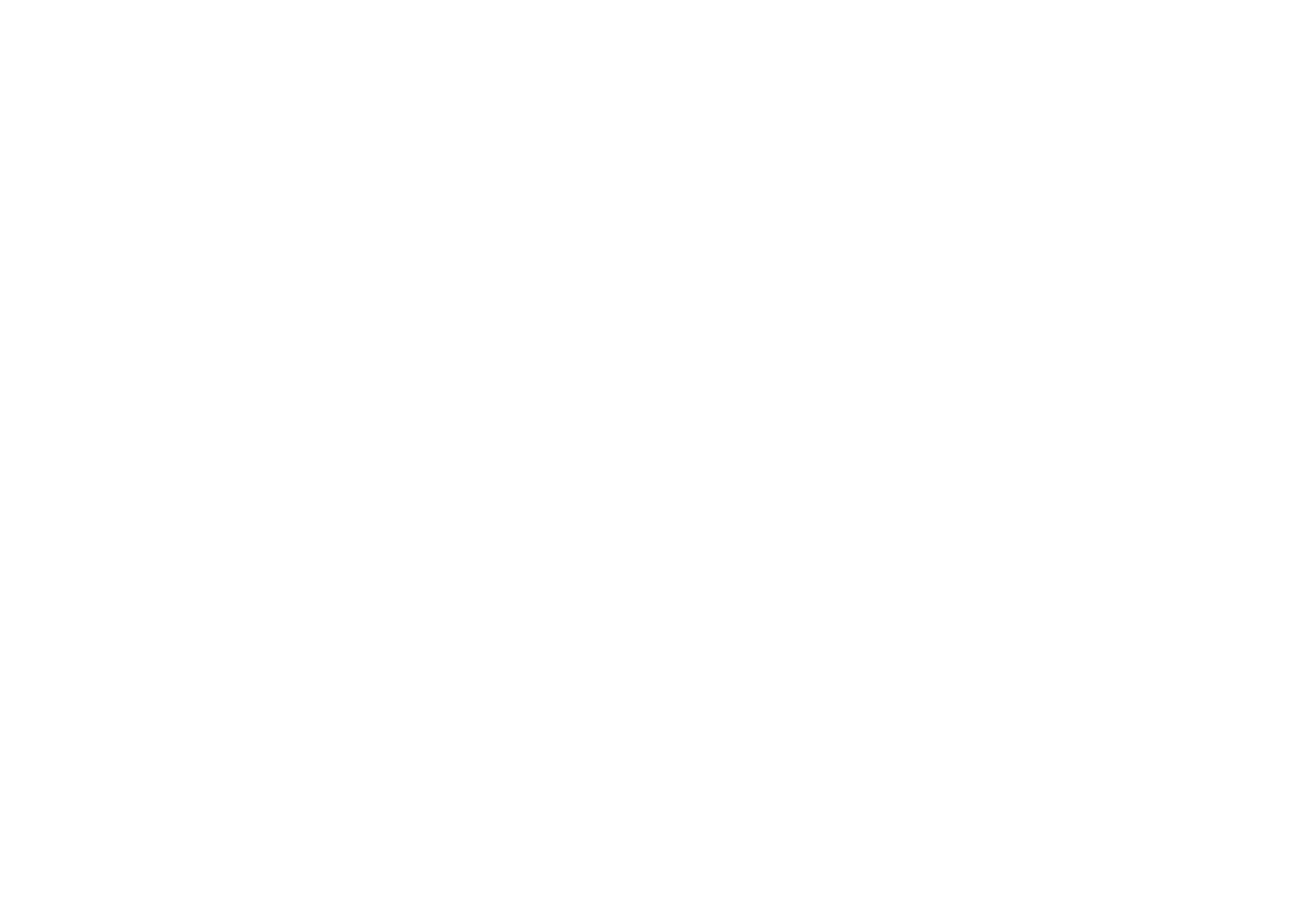 logotyp i konstrukcja_Andika-19-biel